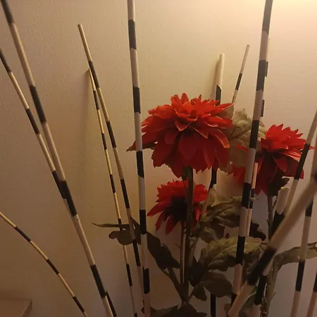 - Comfort Garruba Apartment